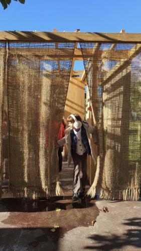 10. Sc.25 IIA