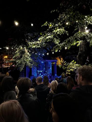 Concert_pavilioane