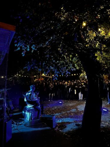 Concert_pavilioane_(1)